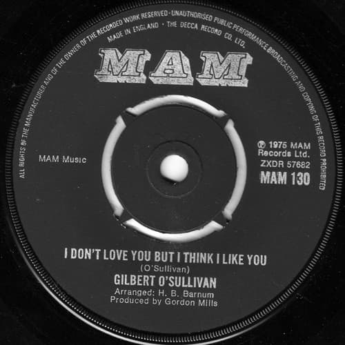 Album Cover Art for I Don't Love You But I Think I Like You