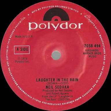 Album Cover Art for Laughter In The Rain