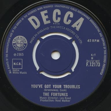 Album Cover Art for You've Got Your Troubles