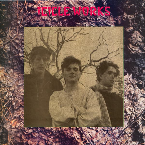 Album Cover Art for Icicle Works