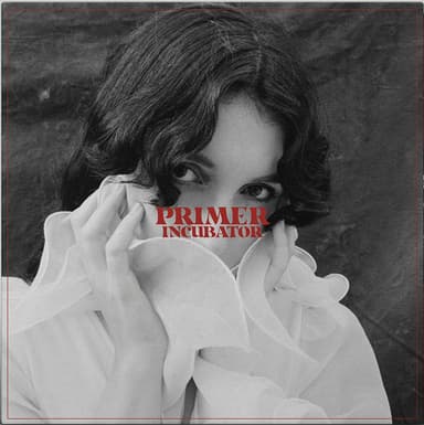 Album Cover Art for Incubator