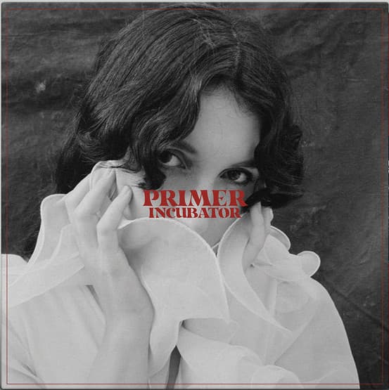 Album Cover Art for Incubator