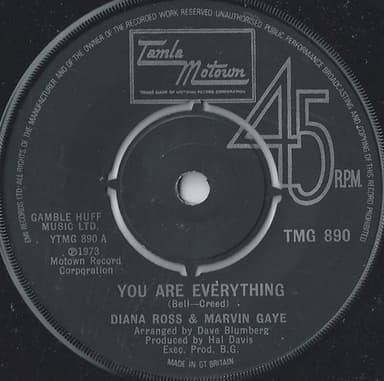 Album Cover Art for You Are Everything