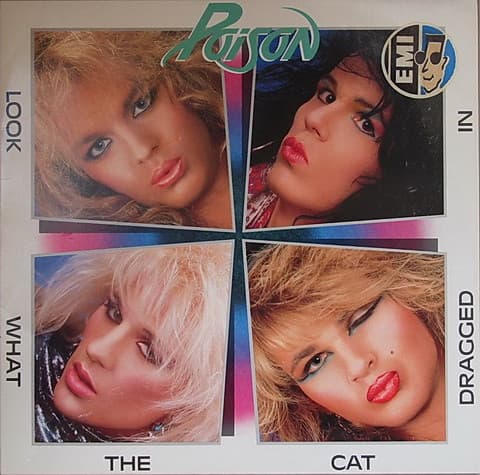 Album Cover Art for Look What The Cat Dragged In