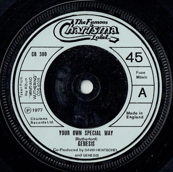 Album Cover Art for Your Own Special Way