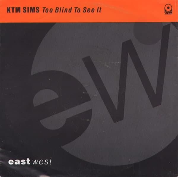 Album Cover Art for Too Blind To See It