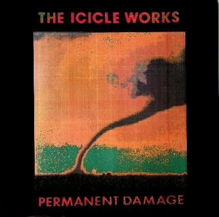 Album Cover Art for Permanent Damage