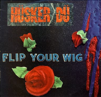 Album Cover Art for Flip Your Wig
