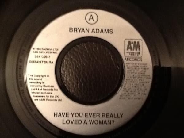 Album Cover Art for Have You Ever Really Loved A Woman?
