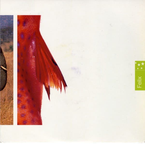 Album Cover Art for Stars