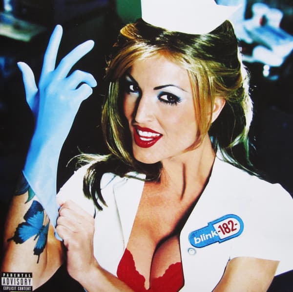 Album Cover Art for Enema Of The State