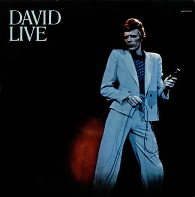 Album Cover Art for David Live