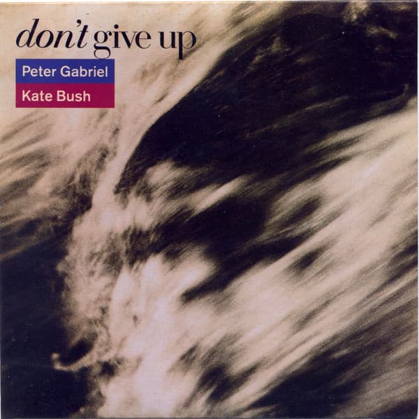 Album Cover Art for Don't Give Up
