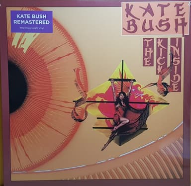 Album Cover Art for The Kick Inside