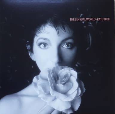Album Cover Art for The Sensual World