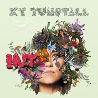Album Cover Art for Nut