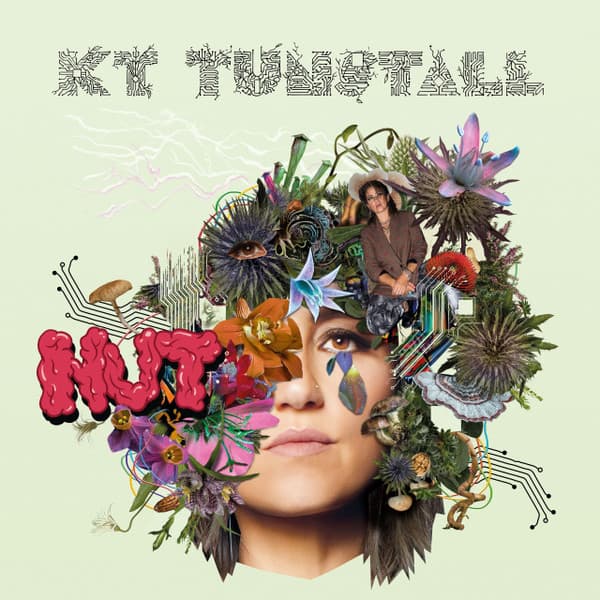 Album Cover Art for Nut