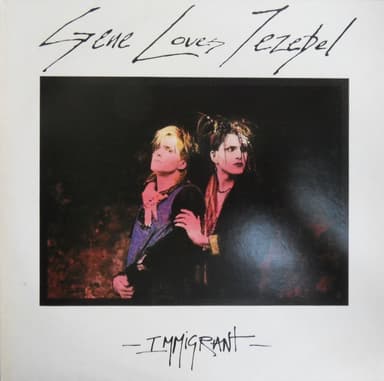 Album Cover Art for Immigrant