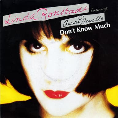 Album Cover Art for Don't Know Much