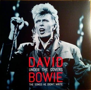 Album Cover Art for Under The Covers (The Songs He Didn't Write)