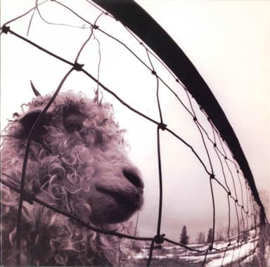 Album Cover Art for Vs.