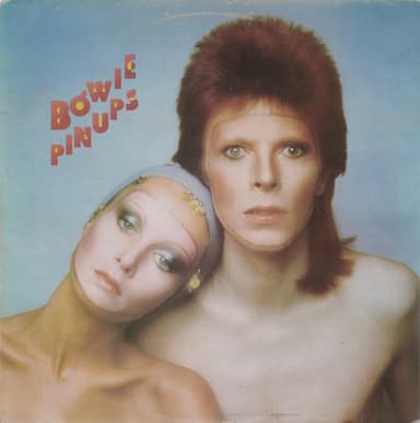 Album Cover Art for Pinups