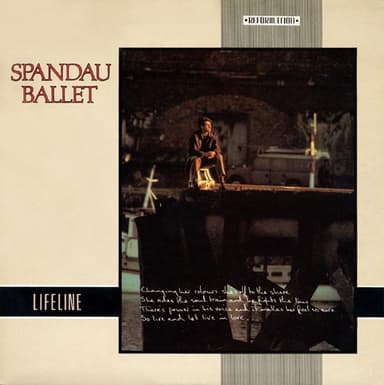 Album Cover Art for Lifeline