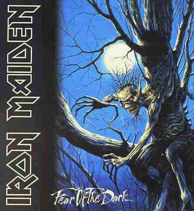 Album Cover Art for Fear Of The Dark
