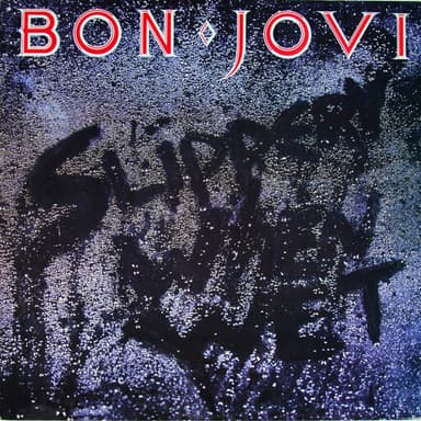 Album Cover Art for Slippery When Wet