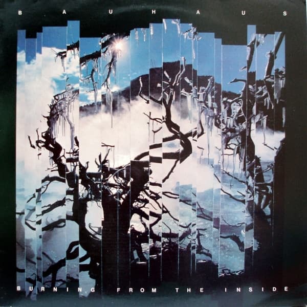 Album Cover Art for Burning From The Inside