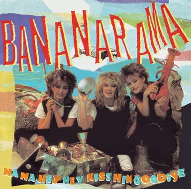 Album Cover Art for Na Na Hey Hey Kiss Him Goodbye