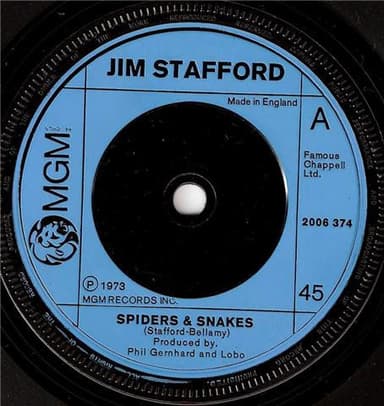 Album Cover Art for Spiders & Snakes