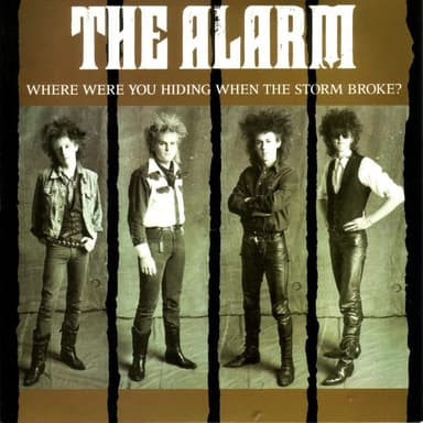 Album Cover Art for Where Were You Hiding When The Storm Broke?