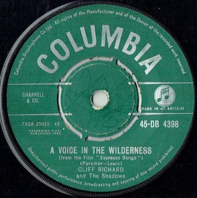 Album Cover Art for A Voice In The Wilderness