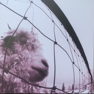 Album Cover Art for Vs.
