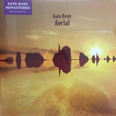 Album Cover Art for Aerial