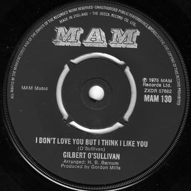Album Cover Art for I Don't Love You But I Think I Like You