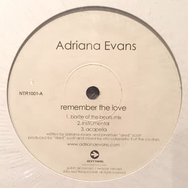 Album Cover Art for Remember The Love