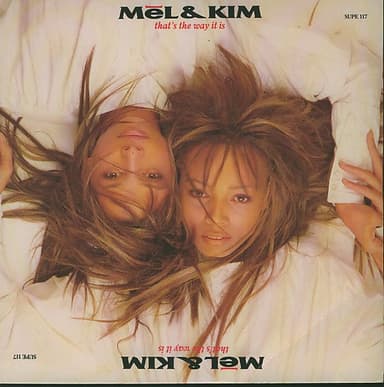 Album Cover Art for That's The Way It Is