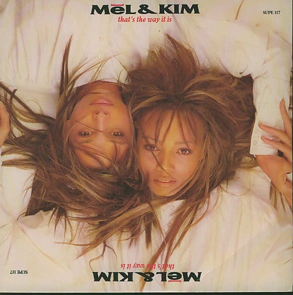 Album Cover Art for That's The Way It Is