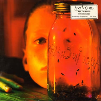 Album Cover Art for Jar Of Flies