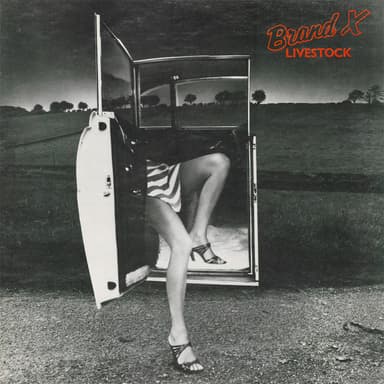 Album Cover Art for Livestock