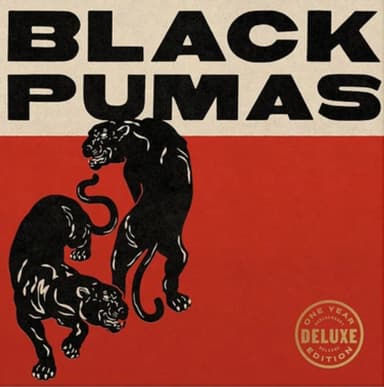 Album Cover Art for Black Pumas