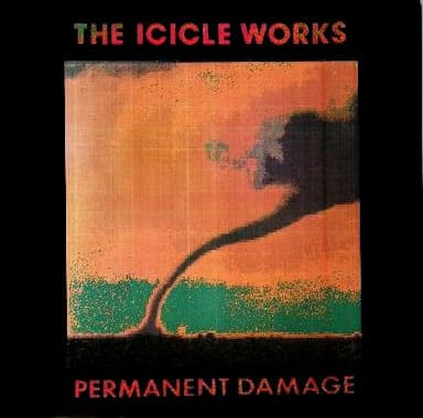 Album Cover Art for Permanent Damage