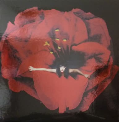 Album Cover Art for Adore