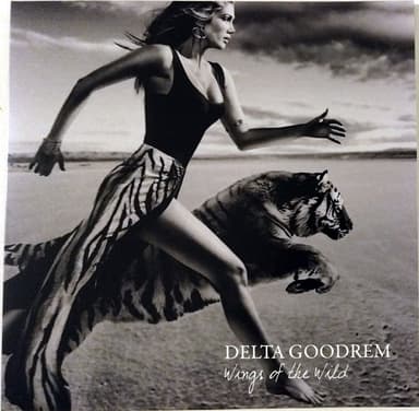 Album Cover Art for Wings Of The Wild