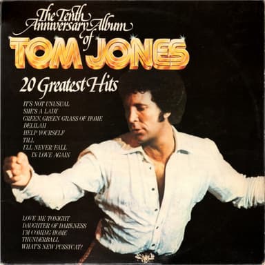 Album Cover Art for 20 Greatest Hits