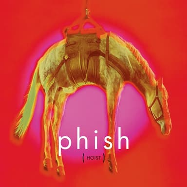 Album Cover Art for Hoist
