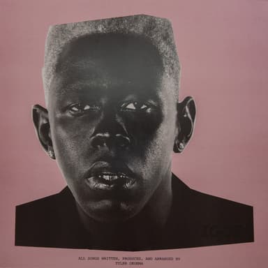 Album Cover Art for Igor