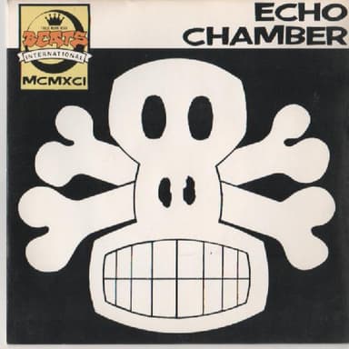 Album Cover Art for Echo Chamber